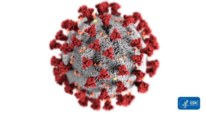 Microscopic close-up of a coronavirus